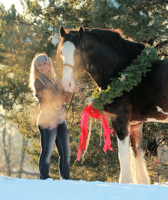 Sierro and her Clydesdale stallion, Bentley, during a holiday photo session.