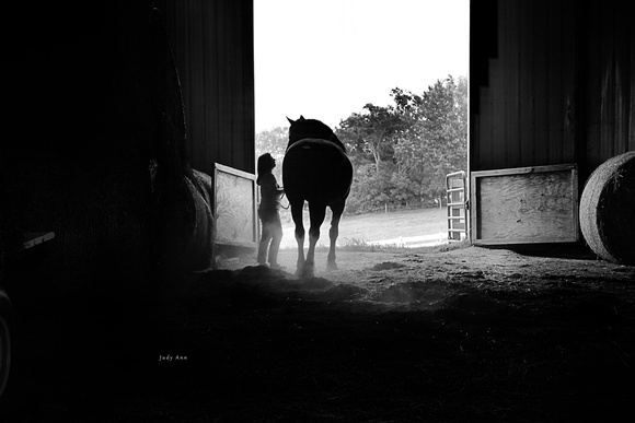 2404bw