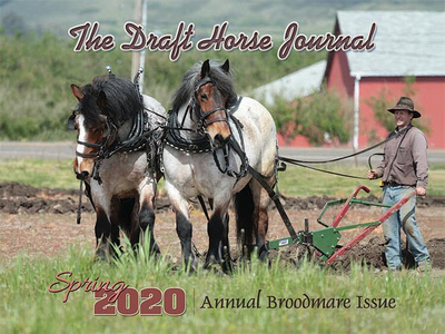 Draft Horse Journal cover by Judy Ann, Brabants in McMinnville, Oregon