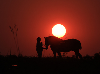 Sunset photography with horses