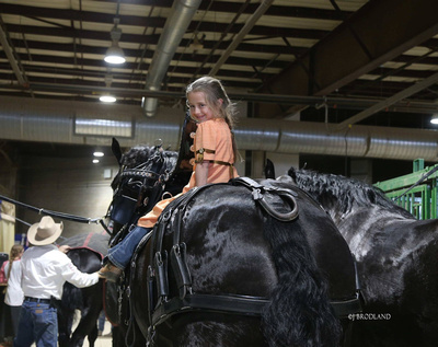 Lisa Yoder is all smiles as she sits atop one of their Percheron mares during Denver's National Western Stock Show